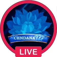 Review Aplikasi cendana777 — ikon APK